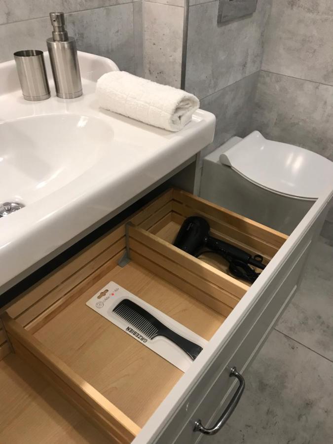 Apartament Mickiewicza - Pkp Station แชมิตช์ ภายนอก รูปภาพ